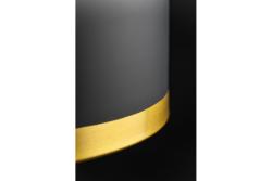 Ceiling fixture GOLDI 2 ,4113,AC220-240V,50/60Hz,1*E27, IP20, Diameter 42 CM,single,black/gold