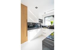 Ceiling fixture Milo,4731,AC220-240V, 50/60 Hz, 1* GU10, ES111,IP 20, recessed, frameless,black