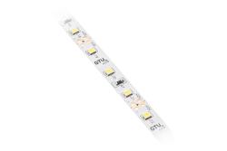 LED strip 2835, DC12V, 300LED/5m, 6 W/m, 750 lm/m, 4000K, IP20, roll 5 m