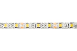 LED strip 5050, DC12V, 300LED/5m, 14.4 W/m, 850 lm/m, 6500K, IP65, roll 5 m