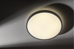 LED luminaire ATOLL, 32 W, 2560 lm, 3000K, AC180-250V, PF>0.9, IP54, Ø400 mm, silver