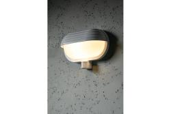 Svítidlo pro lampy E27 s ochrannou clonou a pohybovým senzorem, max. 60 W, AC220-240V, IP40, 180°