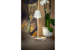 LED rechargeable table lamp FIZZI, 2.5 W, 200 lm, 5 V, 4000 K, 4000 mAh, dimmable, white