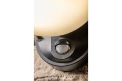 LED facade luminaire TERRO with motion sensor, 10 W, 720 lm, IP54, 4000K, black