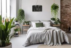 Stropní svítidlo FORESTO 2, 5772, AC220-240V, 50/60Hz, 1*E27, max.40W, prům. 50 cm, černé