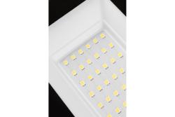 Portable LED floodlight NELI, 30 W, 2700 lm, 6400K, AC220-240V, IP65, cable 1.5 m