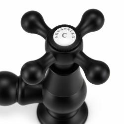 ascot_bridge_black_handle2