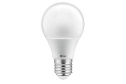 G-TECH LED-lichtbron, A60, SMD2835, E27, 6 W, 470 lm, 52 mA, AC 220-240 V, 200°, 3000 K 1208959217 - Set van 10