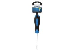 Hoegert Gleufschroevendraaier 4 x 100 mm van S2 staal 1208959757 - Set van 7