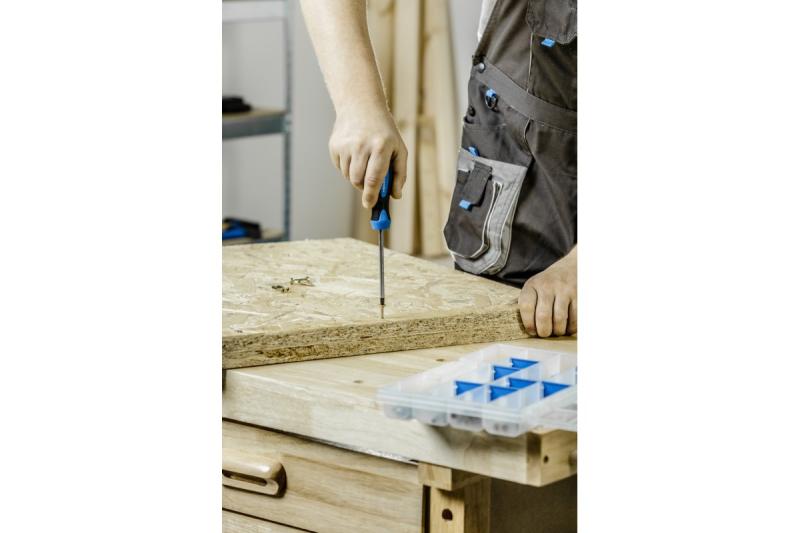 Hoegert Schroevendraaier PH0 75 mm S2 staal 1208959763 - Set van 8