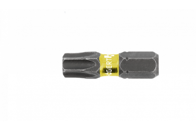 Hoegert Elektrische schroevendraaier bit Torx TT40 25mm 5 stuks 1208959812 - Set van 6