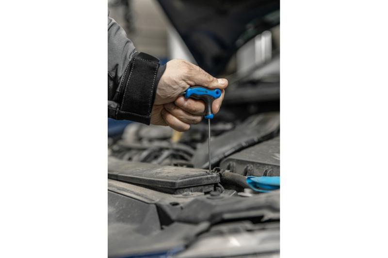 Hoegert Zeskantsleutels type-T met kogel, lang 4. 1208960116 - Set van 5
