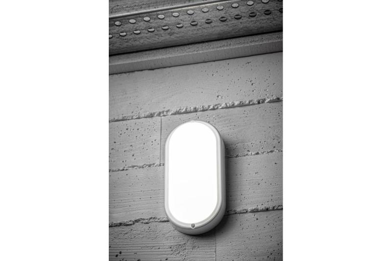 LED-lamp KODO-OV, 8 W, 720 lm, AC 175–260 V, 50/60 Hz, PF > 0,5, Ra ≥ 80, IP54, IK08, 4000 K, ovaal, wit 1208962889 - Set van 3