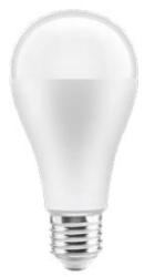Bombilla Lumiere Decor LED redonda E27 luz diurna 6500K blanco brillante 66mm - Juego de 2